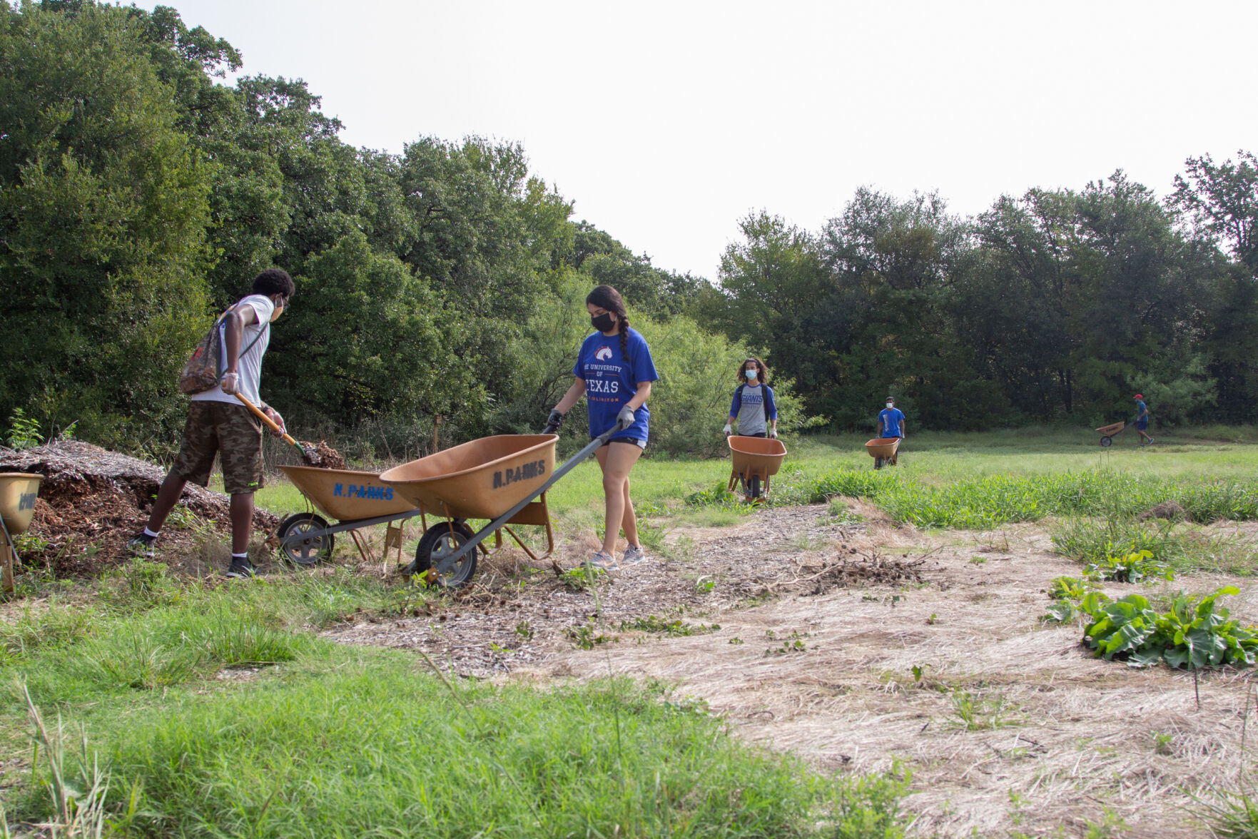Photos: Volunteers improve trails at O.S. Gray Natural Area for Super Service Saturday